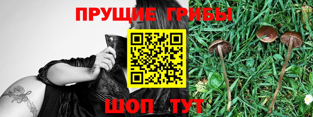 Галлюциногенные грибы Magic Shrooms  Вход с VPN  Фрязино 
